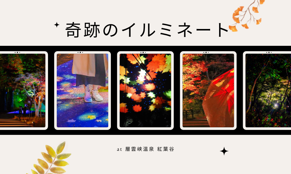 奇跡のイルミネート